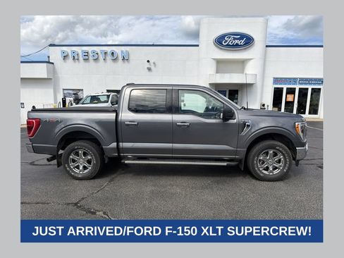 Used 2022 Ford F150 XLT w/ Equipment Group 302A High AWD/4WD image 1