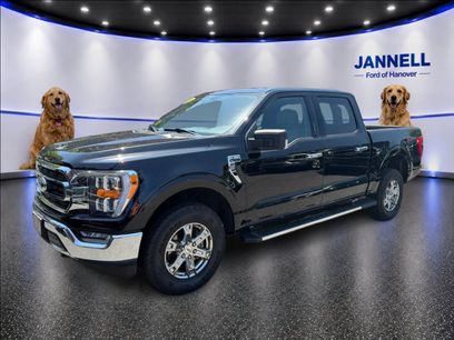 Used 2023 Ford F150 XLT w/ Equipment Group 302A High