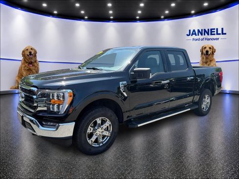 Used 2023 Ford F150 XLT w/ Equipment Group 302A High AWD/4WD image 1