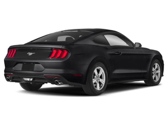 Used 2018 Ford Mustang GT Premium w/ Equipment Group 401A RWD image 2