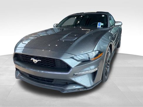 Used 2022 Ford Mustang Coupe w/ Equipment Group 101A image 5