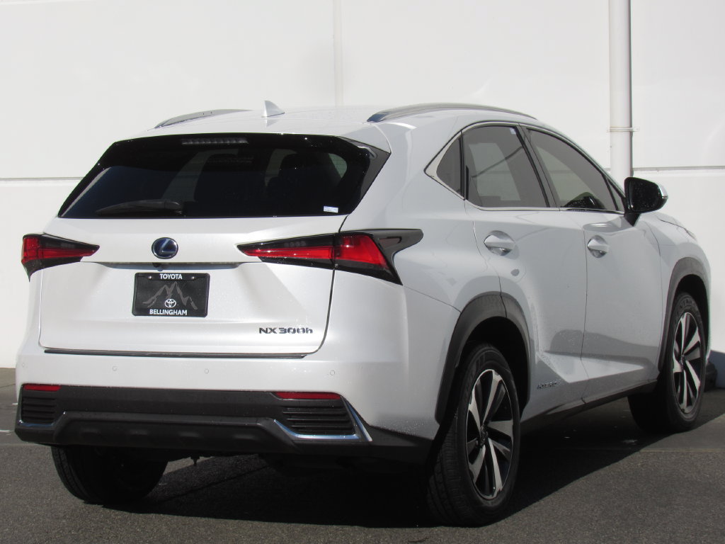 Used 2020 Lexus NX 300h AWD w/ Premium Package image 6