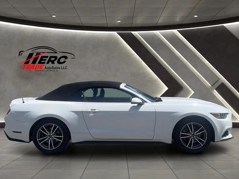 Used 2017 Ford Mustang Premium RWD image 4