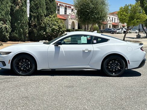 New 2026 Ford Mustang Coupe w/ Mustang Nite Pony Package RWD image 7
