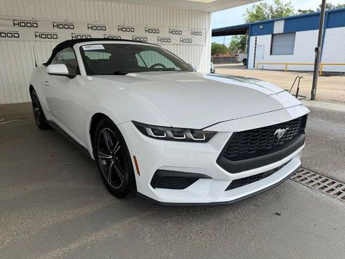 Certified 2024 Ford Mustang Premium RWD image 1