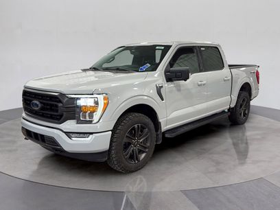 Used 2023 Ford F150 XLT w/ Equipment Group 302A High