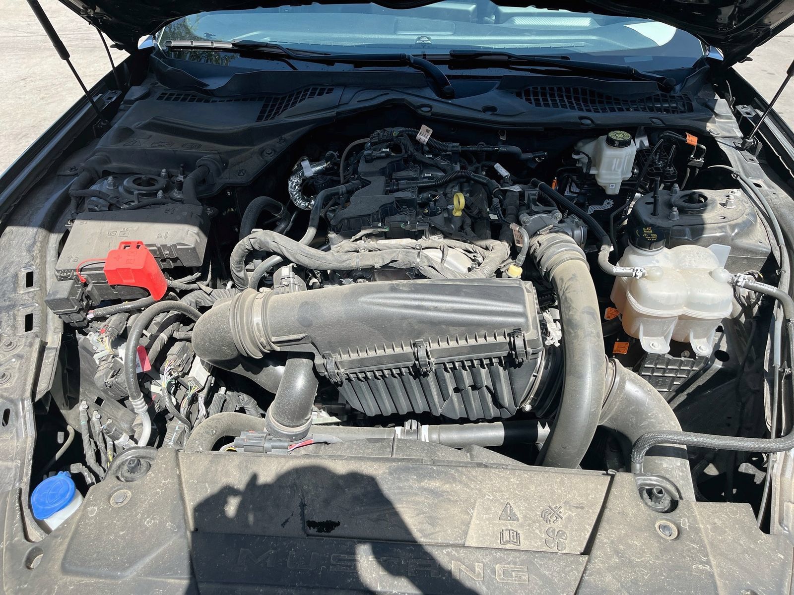 Used 2024 Ford Mustang Coupe RWD image 28