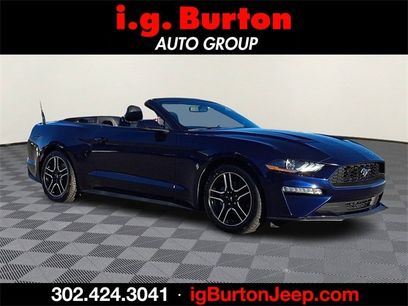 Used 2018 Ford Mustang Premium w/ Equipment Group 201A
