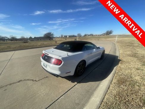 Used 2019 Ford Mustang Premium image 5