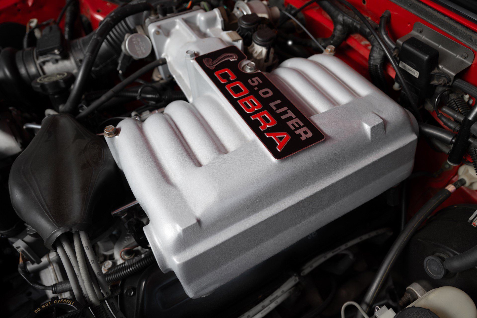 Used 1993 Ford Mustang Cobra RWD image 89
