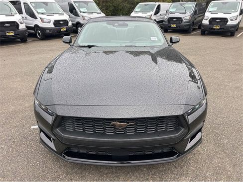 New 2026 Ford Mustang Coupe image 2