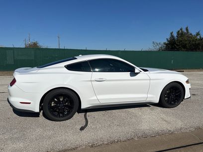Used 2019 Ford Mustang Coupe w/ Equipment Group 101A