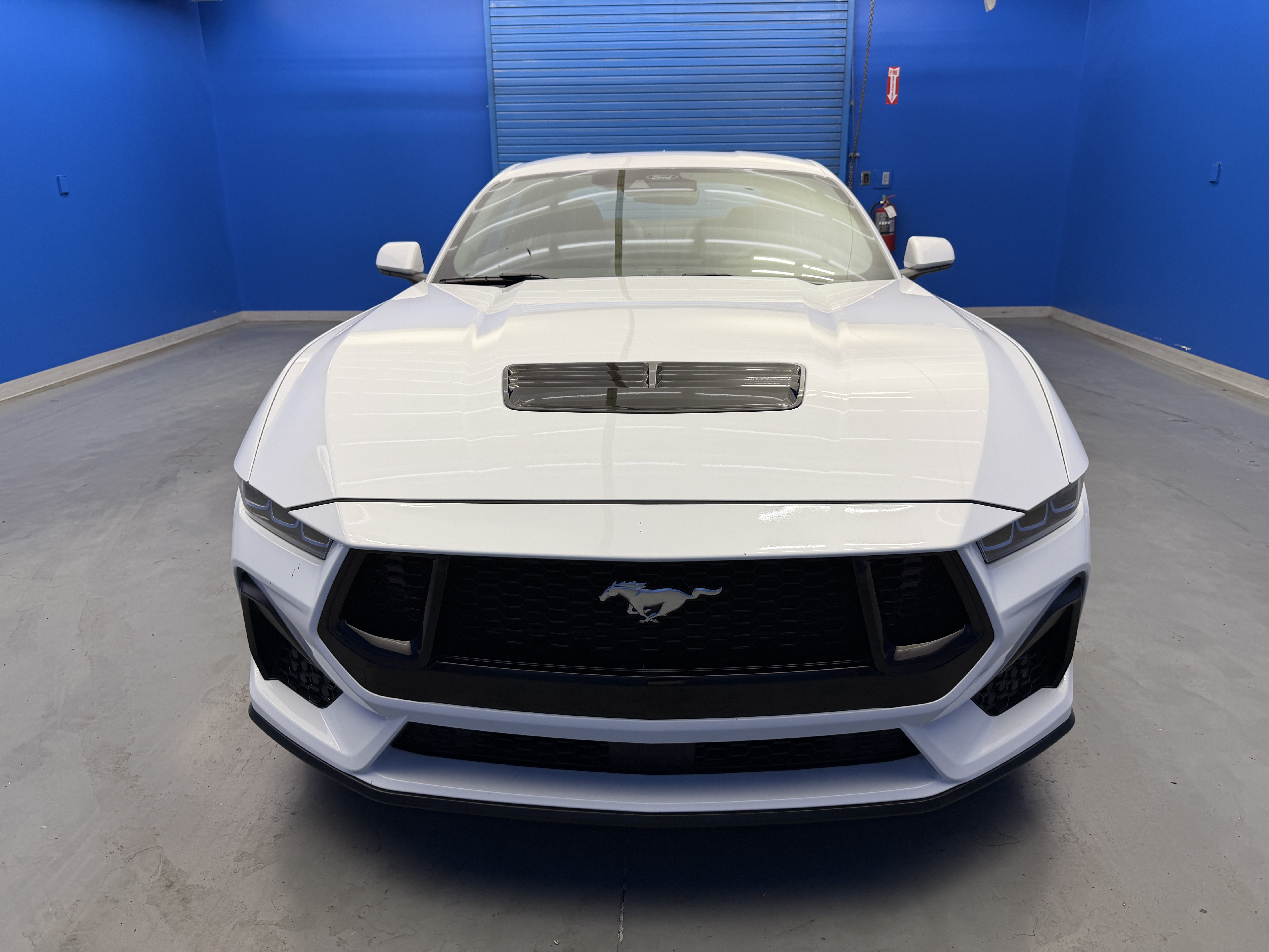 Used 2024 Ford Mustang GT RWD image 3