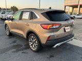 Used 2020 Ford Escape Titanium image 3