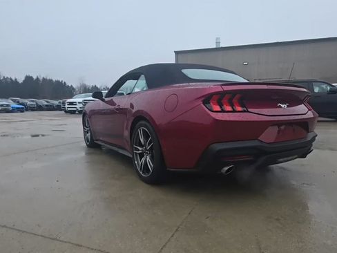 Used 2025 Ford Mustang Premium w/ Wheel & Stripe Package image 5