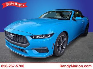 Used 2024 Ford Mustang Premium RWD video 1