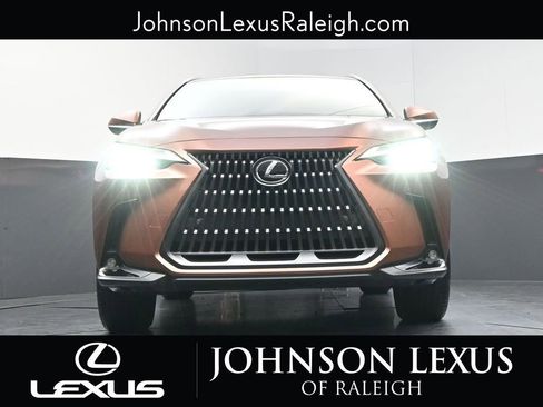 Certified 2025 Lexus NX 350h AWD w/ Cold Area Package image 16