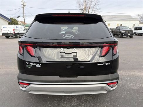 Used 2025 Hyundai Tucson Blue image 5