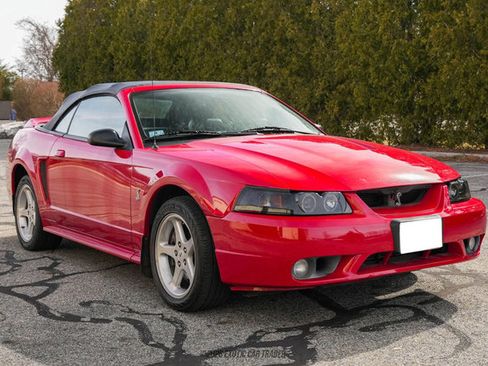 Used 1999 Ford Mustang Cobra image 17