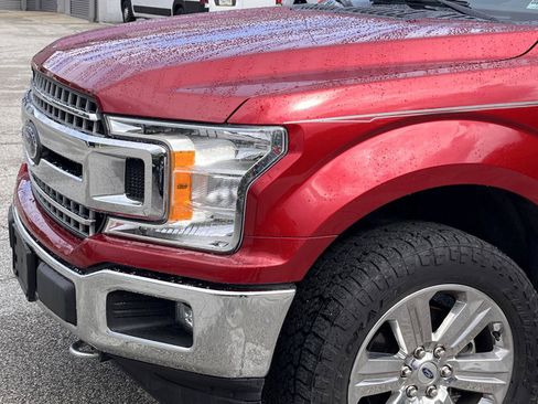 Used 2019 Ford F150 XLT w/ Equipment Group 302A Luxury AWD/4WD image 4