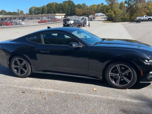 Used 2024 Ford Mustang Coupe image 12