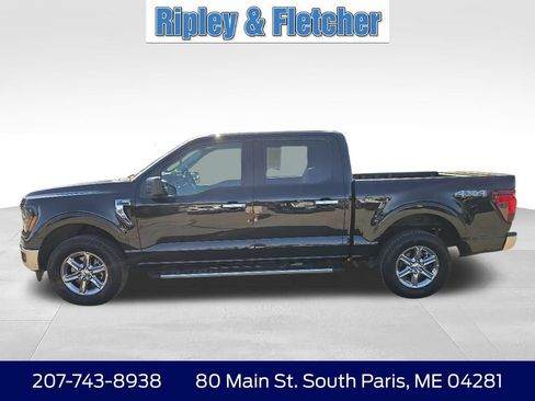 Used 2025 Ford F150 XLT w/ Equipment Group 301A Standard AWD/4WD image 5