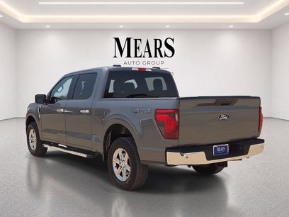 Used 2025 Ford F150 XLT w/ Equipment Group 301A Standard