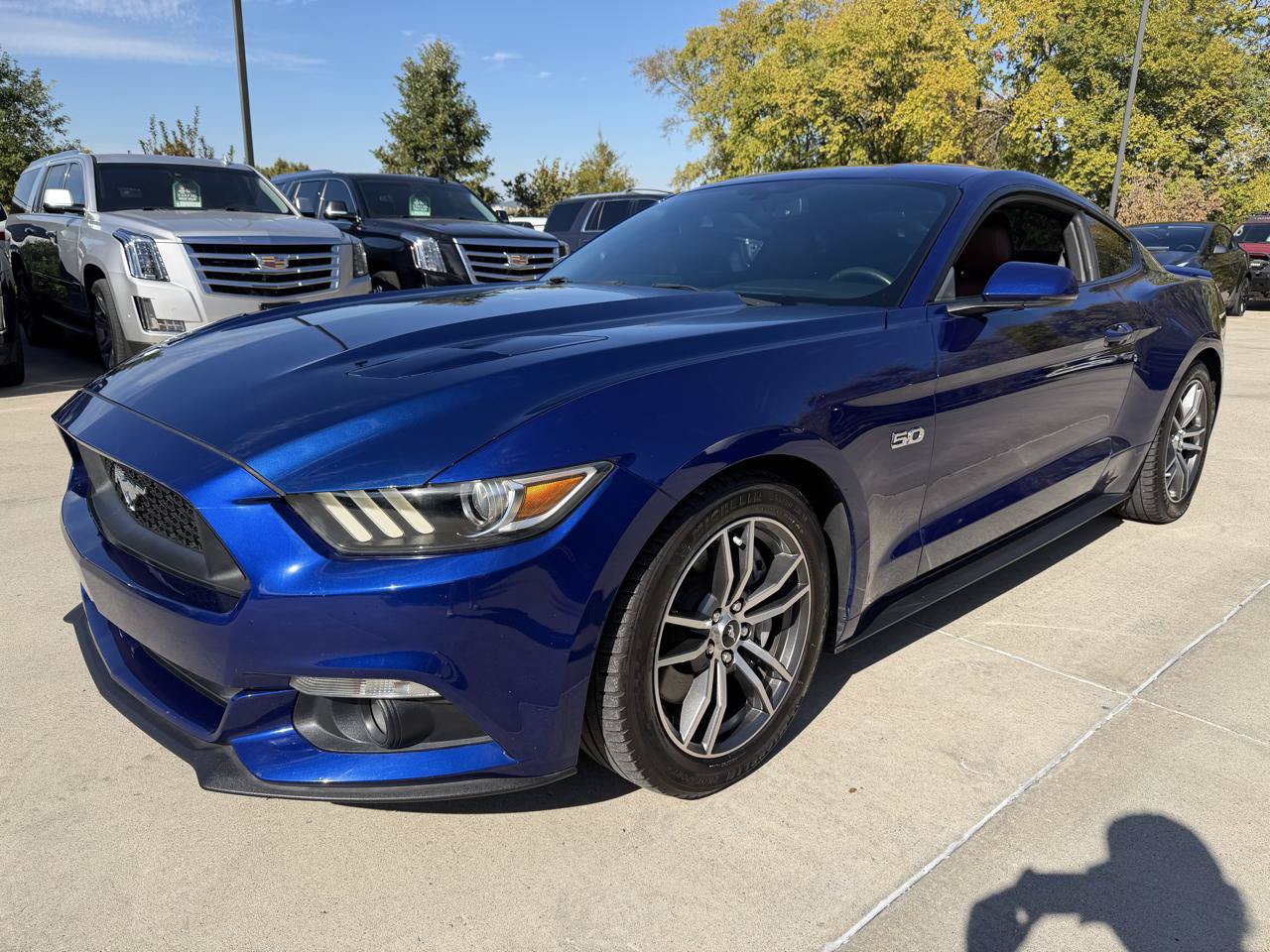 Used 2016 Ford Mustang GT Premium w/ Equipment Group 401A RWD image 3