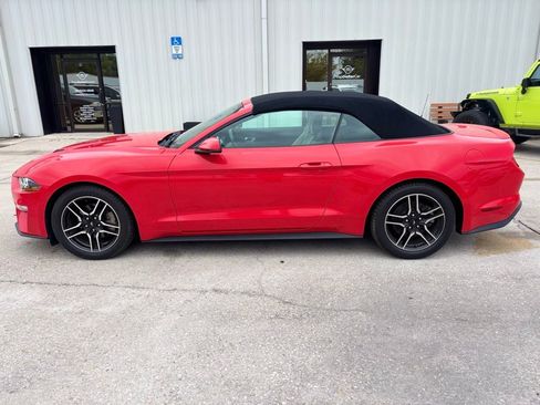 Used 2019 Ford Mustang Premium image 2