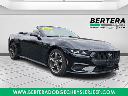 Used 2024 Ford Mustang Premium