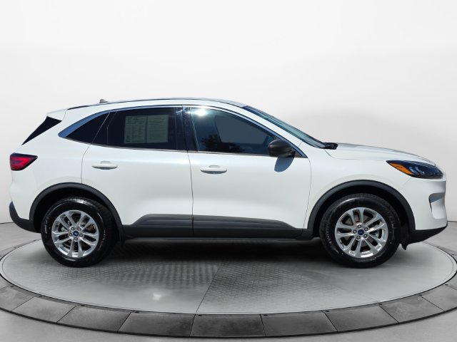 Used 2022 Ford Escape SE AWD/4WD image 6
