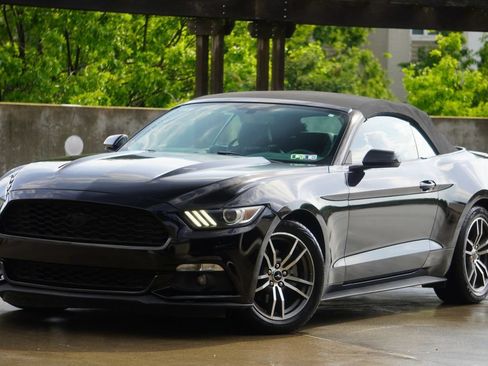Used 2015 Ford Mustang Premium RWD image 8