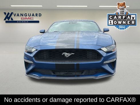 Used 2022 Ford Mustang Coupe w/ Equipment Group 101A RWD image 2