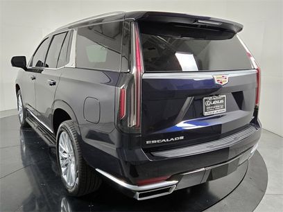 Used 2023 Cadillac Escalade Luxury