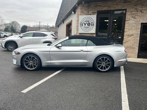 Used 2019 Ford Mustang Premium w/ Equipment Group 201A image 2