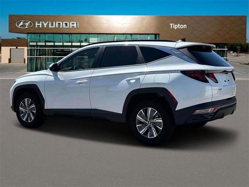 Used 2024 Hyundai Tucson Blue image 4