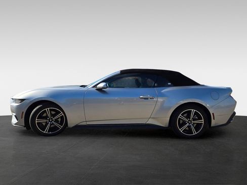 Used 2024 Ford Mustang Premium image 7