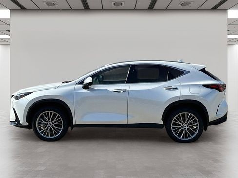New 2025 Lexus NX 350h AWD w/ Premium Package image 3