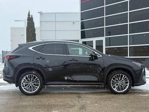 Used 2025 Lexus NX 350h AWD w/ Premium Package image 2
