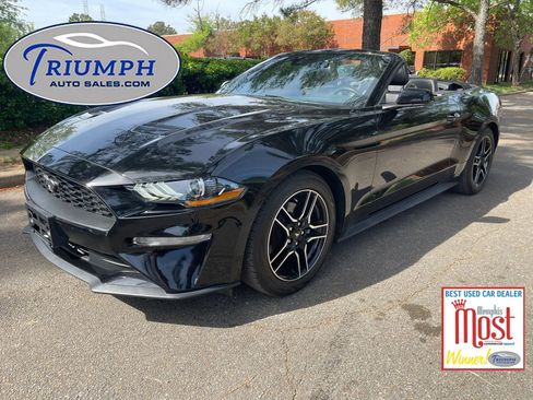 Used 2023 Ford Mustang Premium image 1