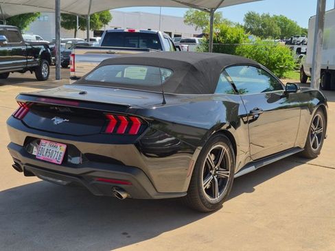 Used 2025 Ford Mustang Premium RWD image 5