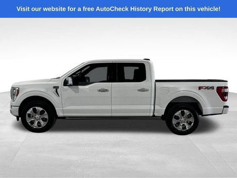 Used 2021 Ford F150 Platinum w/ FX4 Off-Road Package AWD/4WD image 16
