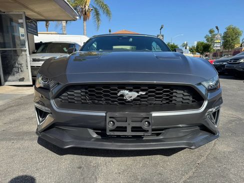 Used 2023 Ford Mustang Premium RWD image 3