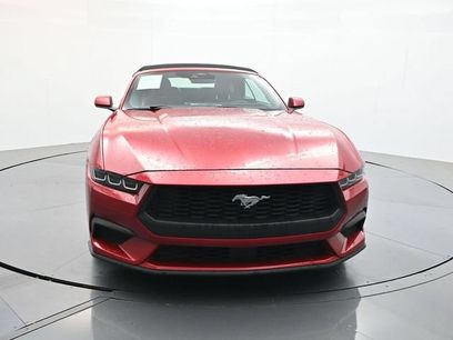 Used 2024 Ford Mustang Premium