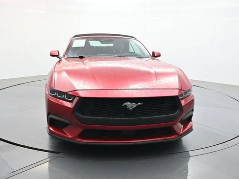 Used 2024 Ford Mustang Premium RWD image 2