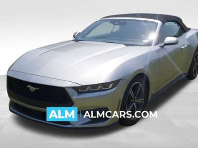 Used 2024 Ford Mustang Premium