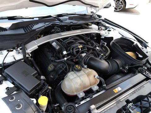 Used 2019 Ford Mustang Shelby GT350 w/ Technology Package RWD image 53