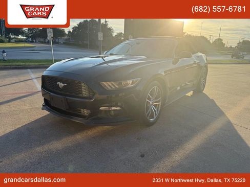 Used 2017 Ford Mustang Premium image 6