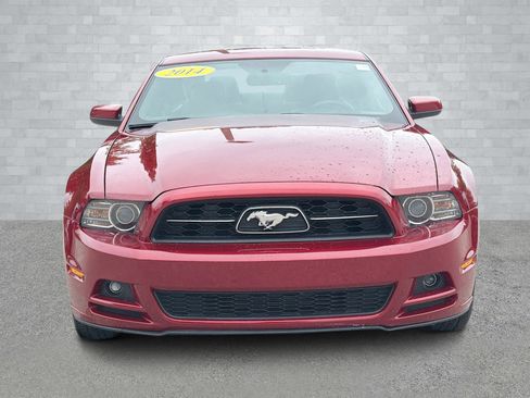 Used 2014 Ford Mustang Premium w/ Equipment Group 202A image 9
