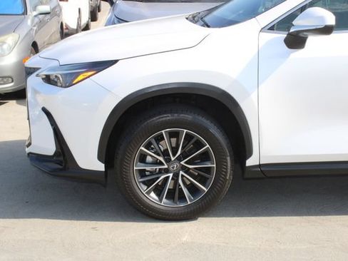Certified 2024 Lexus NX 250 FWD w/ Cold Area Package image 4